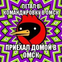 летал в командировку в омск приехал домой в омск