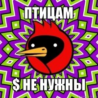 птицам $ не нужны