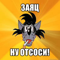 заяц ну отсоси!