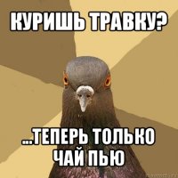 куришь травку? ...теперь только чай пью