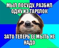 мыл посуду, разбил одну из тарелок зато теперь ее мыть не надо