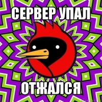 сервер упал отжался