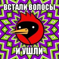 встали волосы и ушли