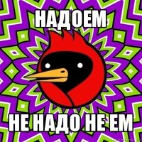 надоем не надо не ем