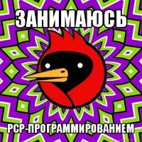 занимаюсь pcp-программированием