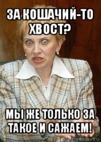 за кошачий-то хвост? мы же только за такое и сажаем!