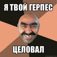 я твой герпес целовал