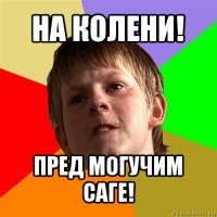 на колени! пред могучим саге!