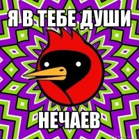 я в тебе души нечаев