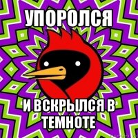 упоролся и вскрылся в темноте