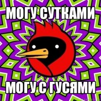 могу сутками могу с гусями