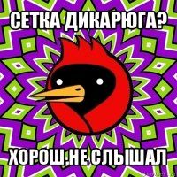 сетка дикарюга? хорош,не слышал