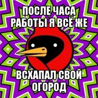 после часа работы я всё же всхапал свой огород