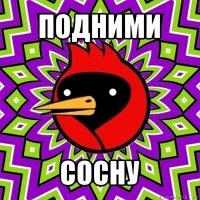 подними сосну