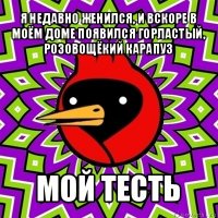 я недавно женился, и вскоре в моём доме появился горластый, розовощёкий карапуз мой тесть