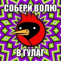 собери волю в гулаг