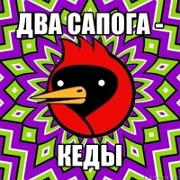 два сапога - кеды