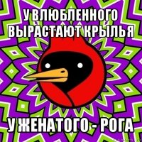 у влюбленного вырастают крылья у женатого - рога