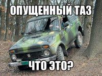 опущенный таз что это?