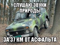 слушаю звуки природы за 37 км от асфальта