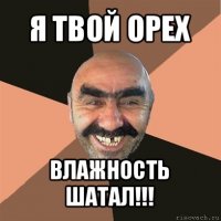 я твой орех влажность шатал!!!