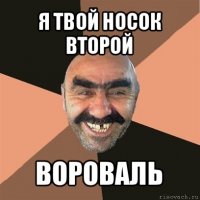 я твой носок второй вороваль