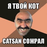 я твой кот catsan сожрал