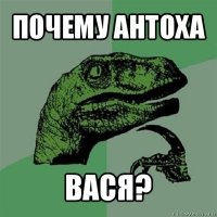 почему антоха вася?