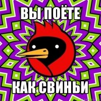 вы поёте как свиньи