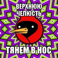 верхнюю челюсть тянем в нос