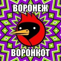 воронеж воронкот