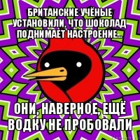 британские учёные установили, что шоколад поднимает настроение... они, наверное, ещё водку не пробовали