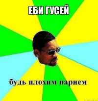 еби гусей 