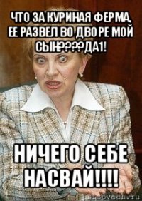 что за куриная ферма, ее развел во дворе мой сын???да1! ничего себе насвай!!!