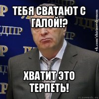 тебя сватают с галой!? хватит это терпеть!