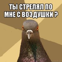 ты стрелял по мне с воздушки ? 