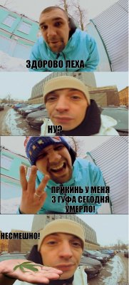 Здорово Леха Ну? Прикинь у меня 3 гуфа сегодня умерло! несмешно!