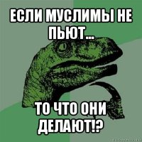 если муслимы не пьют... то что они делают!?