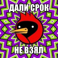 дали срок не взял