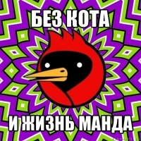 без кота и жизнь манда