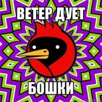 ветер дует бошки