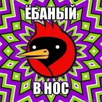 ёбаный в нос