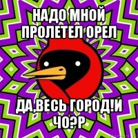 надо мной пролетел орел да,весь город!и чо?р