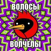 волосы вопчелы