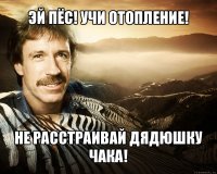 эй пёс! учи отопление! не расстраивай дядюшку чака!