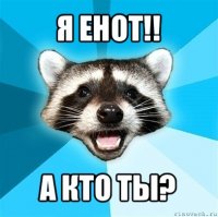 я енот!! а кто ты?