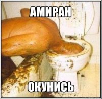 амиран окунись