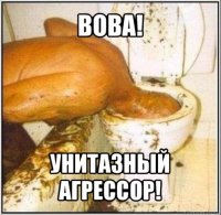 вова! унитазный агрессор!