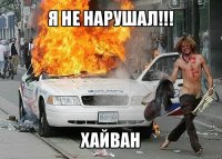 я не нарушал!!! хайван