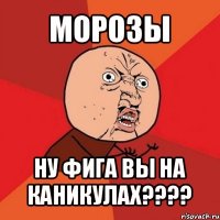 морозы ну фига вы на каникулах???